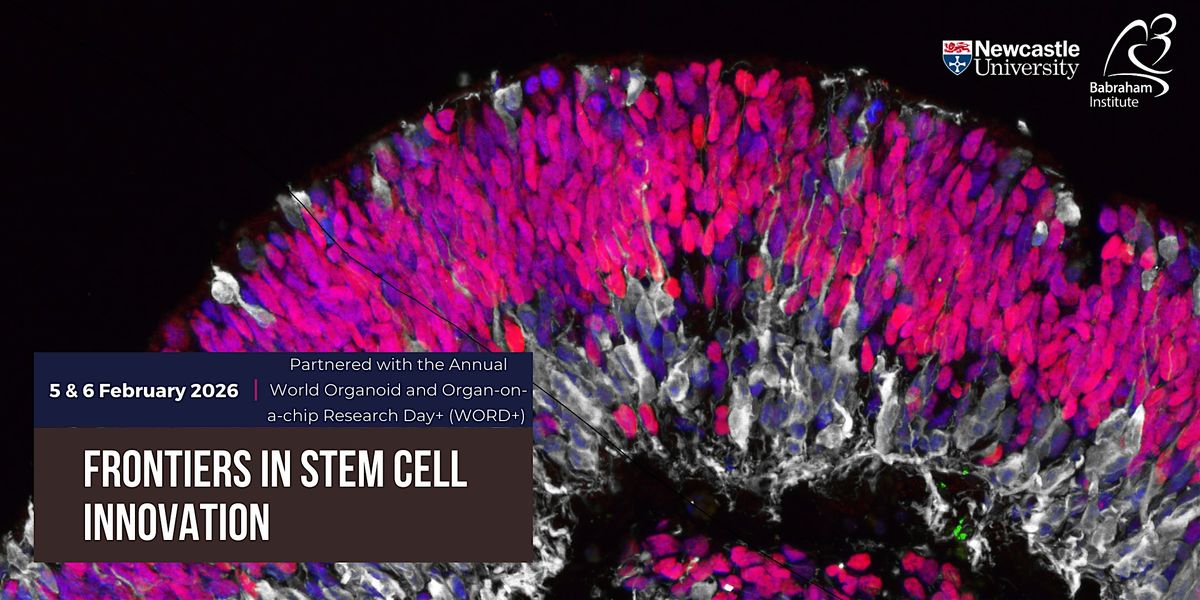 Frontiers in Stem Cell Innovation 2026