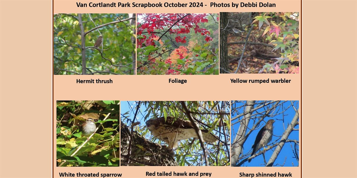 Van Cortlandt Nature Group Walk