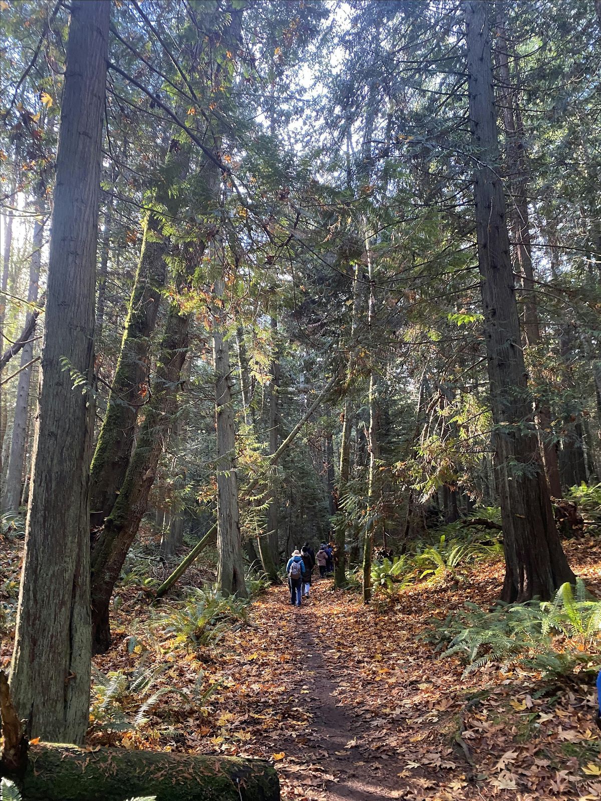 October Family Hike: Bats!