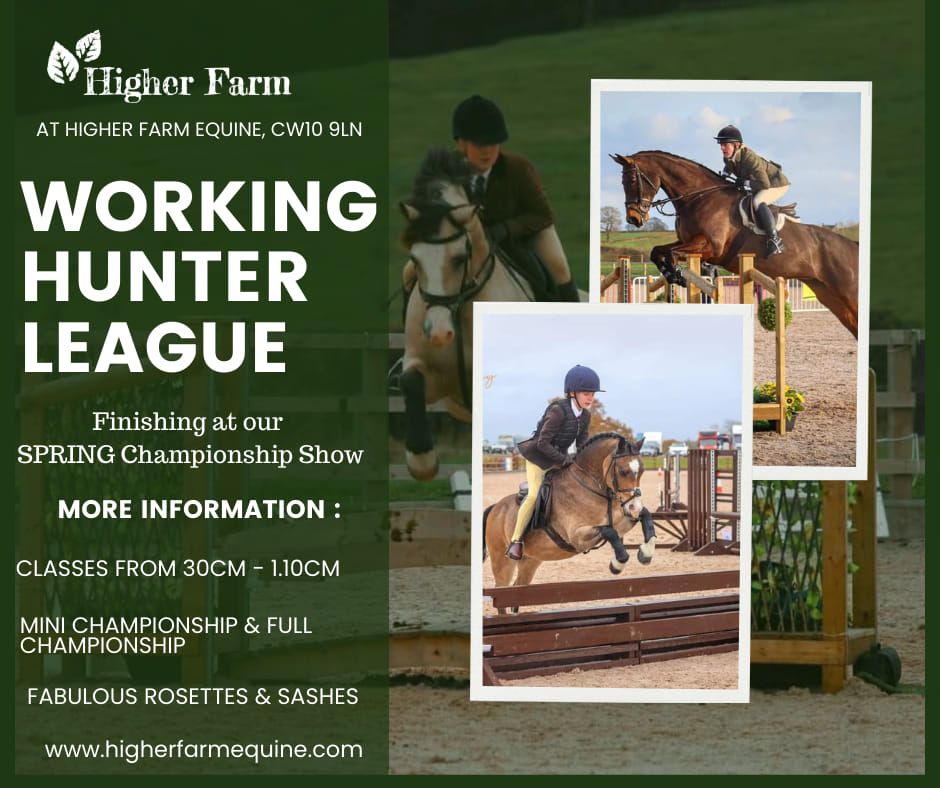 Working Hunter Winter Series Show 1 