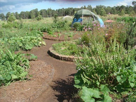 PCC Purple Pear Farm Tour - Tickets on Humanitix 