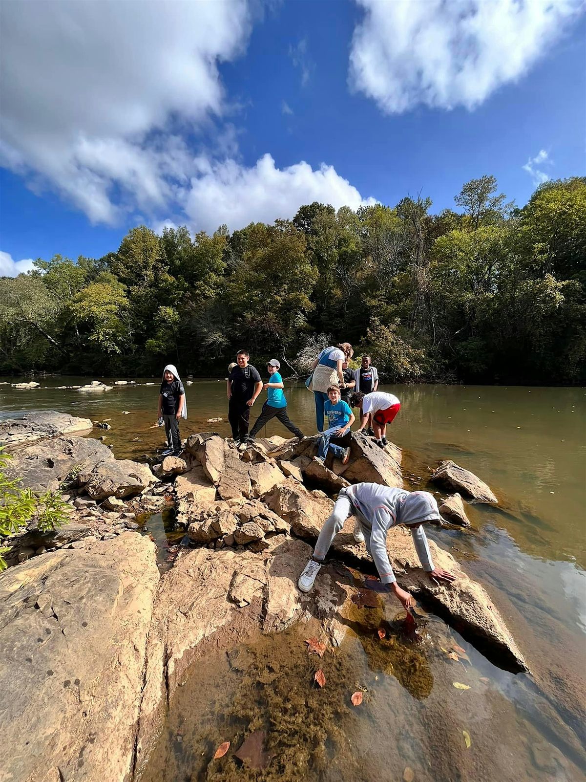 Celebrate the Haw River by Collecting Macroinvertebrates