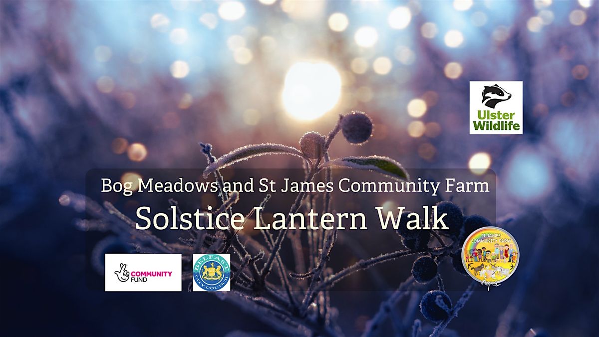 Bog Meadows Solstice Lantern Walk