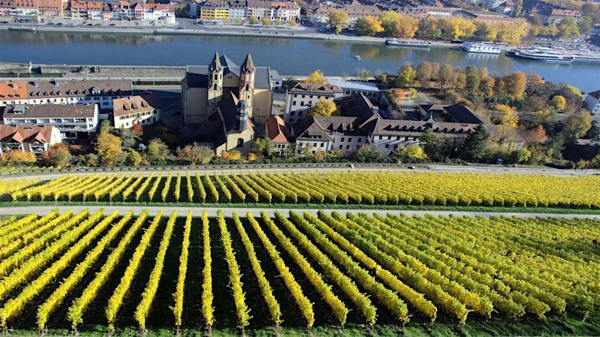 Germany & Alsace Wine & Food Pairing