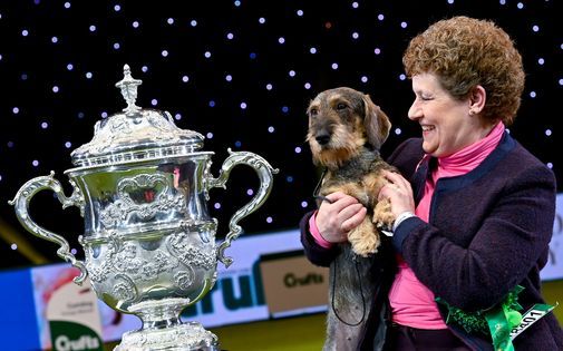 Crufts 2022 - presented by The Kennel Club UK