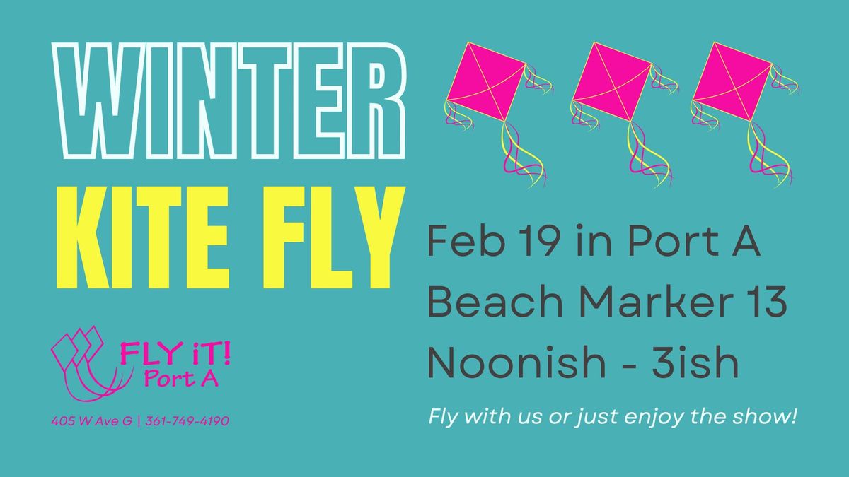 Fly It Port A Winter Kite Fly