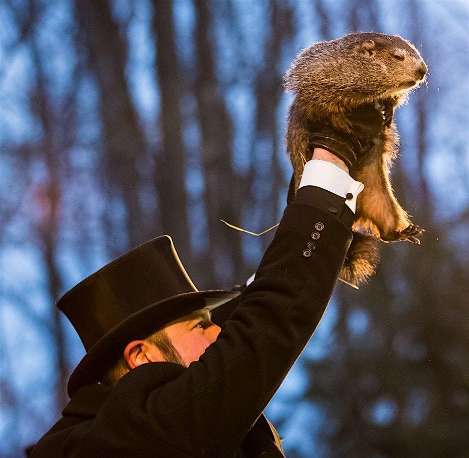 All About Groundhogs Homeschool Lesson