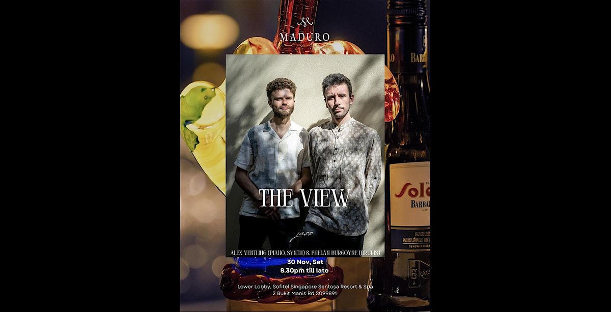 THE VIEW by Alex Ventling & Phelan Burgoyne