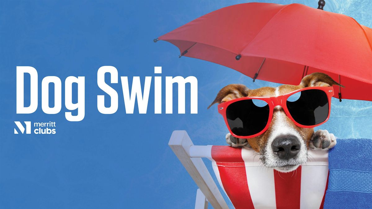 Dog Swim (White Marsh)