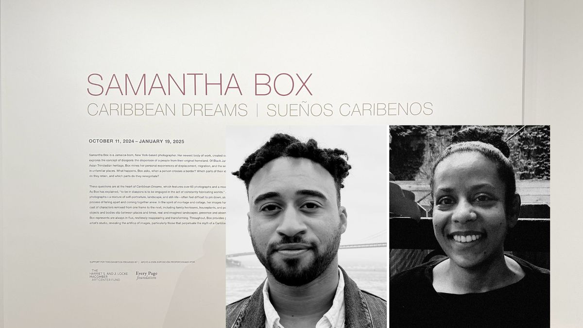 Artist Samantha Box in Conversation with Luke Williams