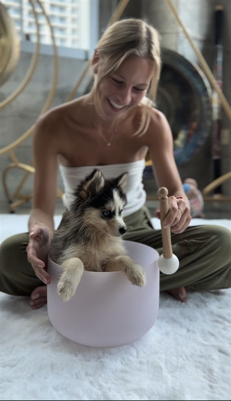 Puppy Sound Healing