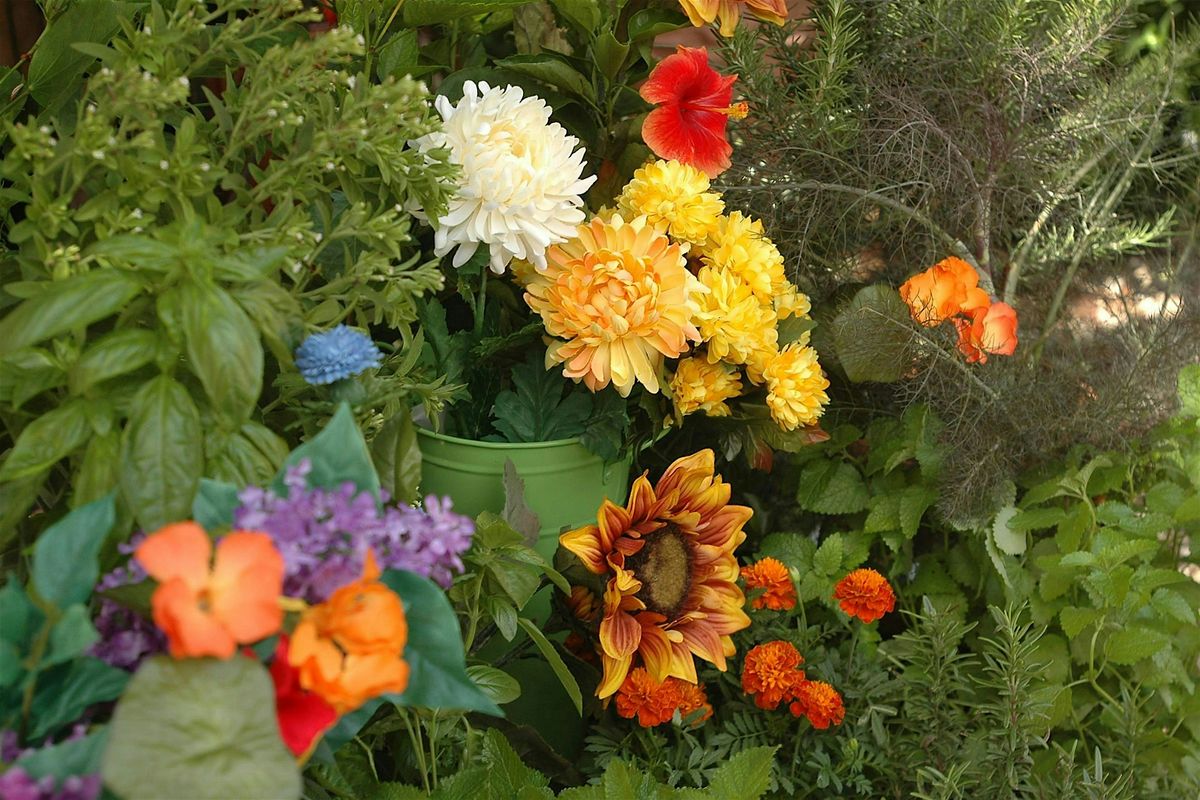 Edible Flowers