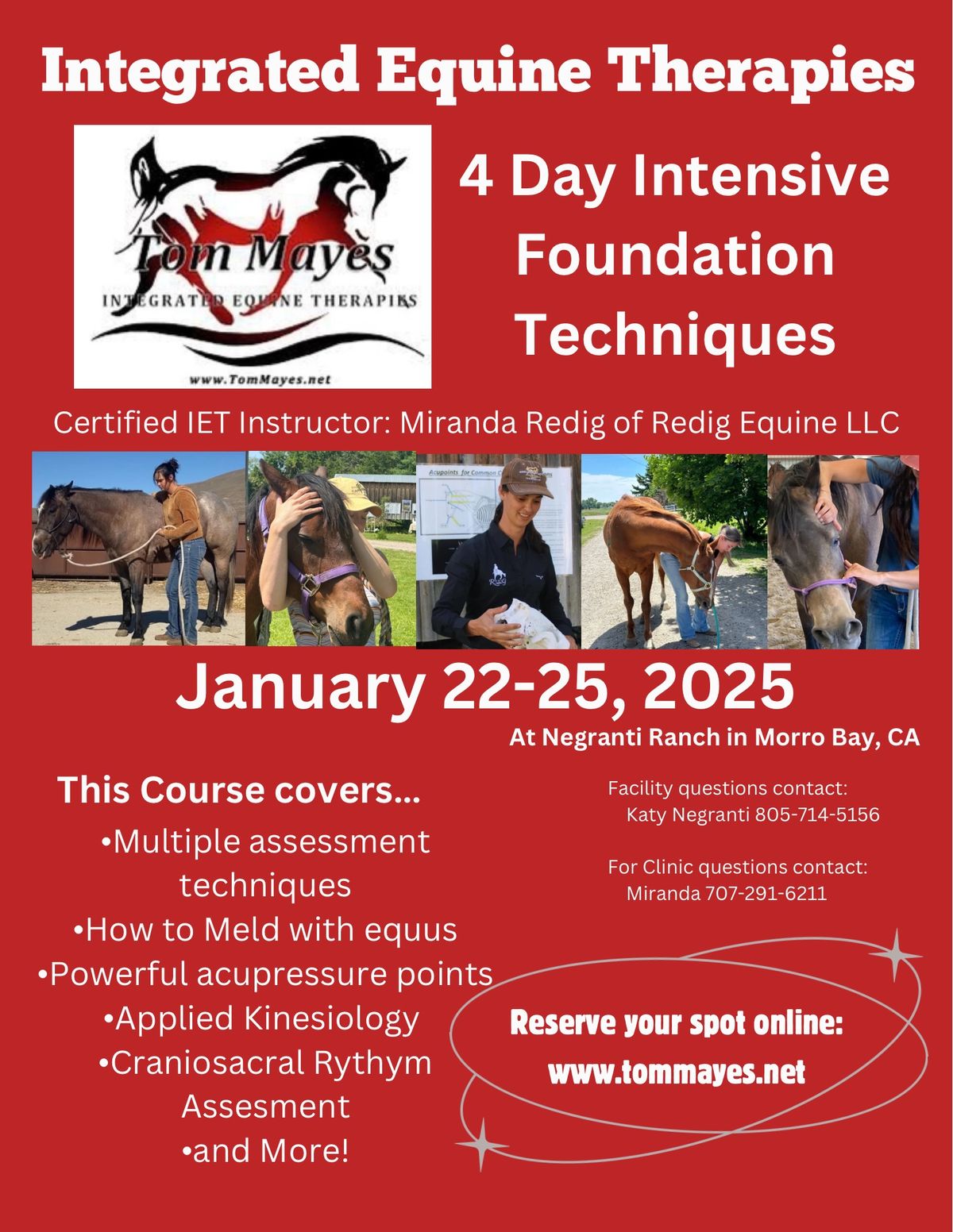 Foundation Course for Integrated Equine Therapies