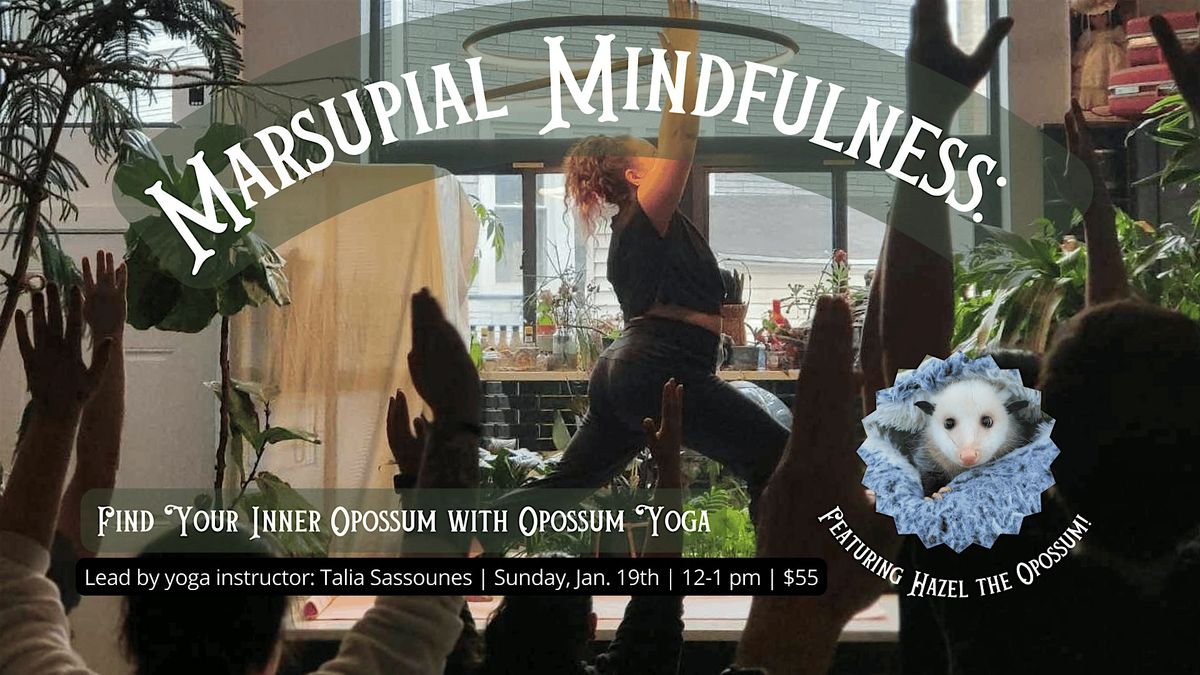 Marsupial Mindfulness: Find Your Inner Opossum with Opossum Yoga