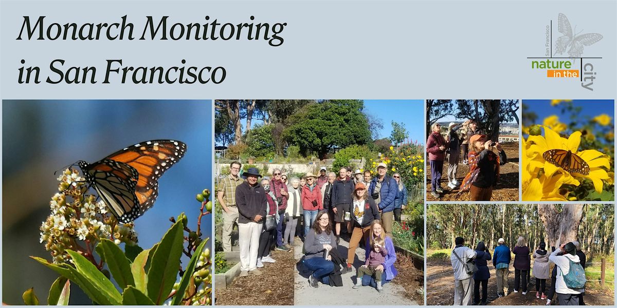 Monarch Monitoring in San Francisco