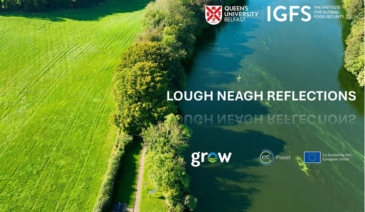 Lough Neagh Reflections - NI Science Festival 2025