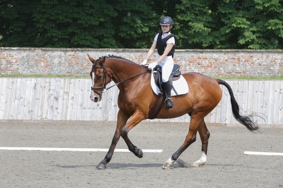 Unaffiliated Dressage