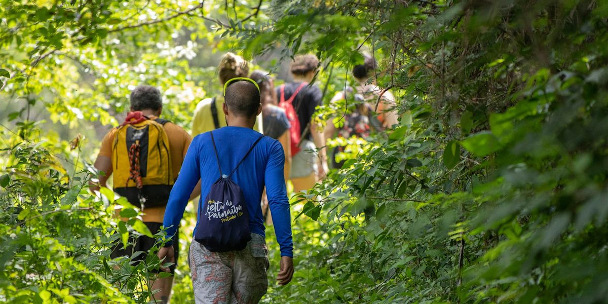 Last Saturday of the Summer Stroll (Ages 8+)