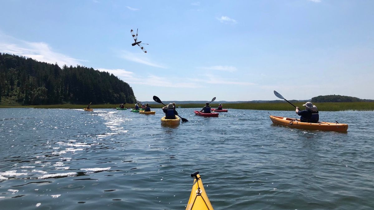 CraneOutdoors: Kayak Adventure on the Castle Neck River