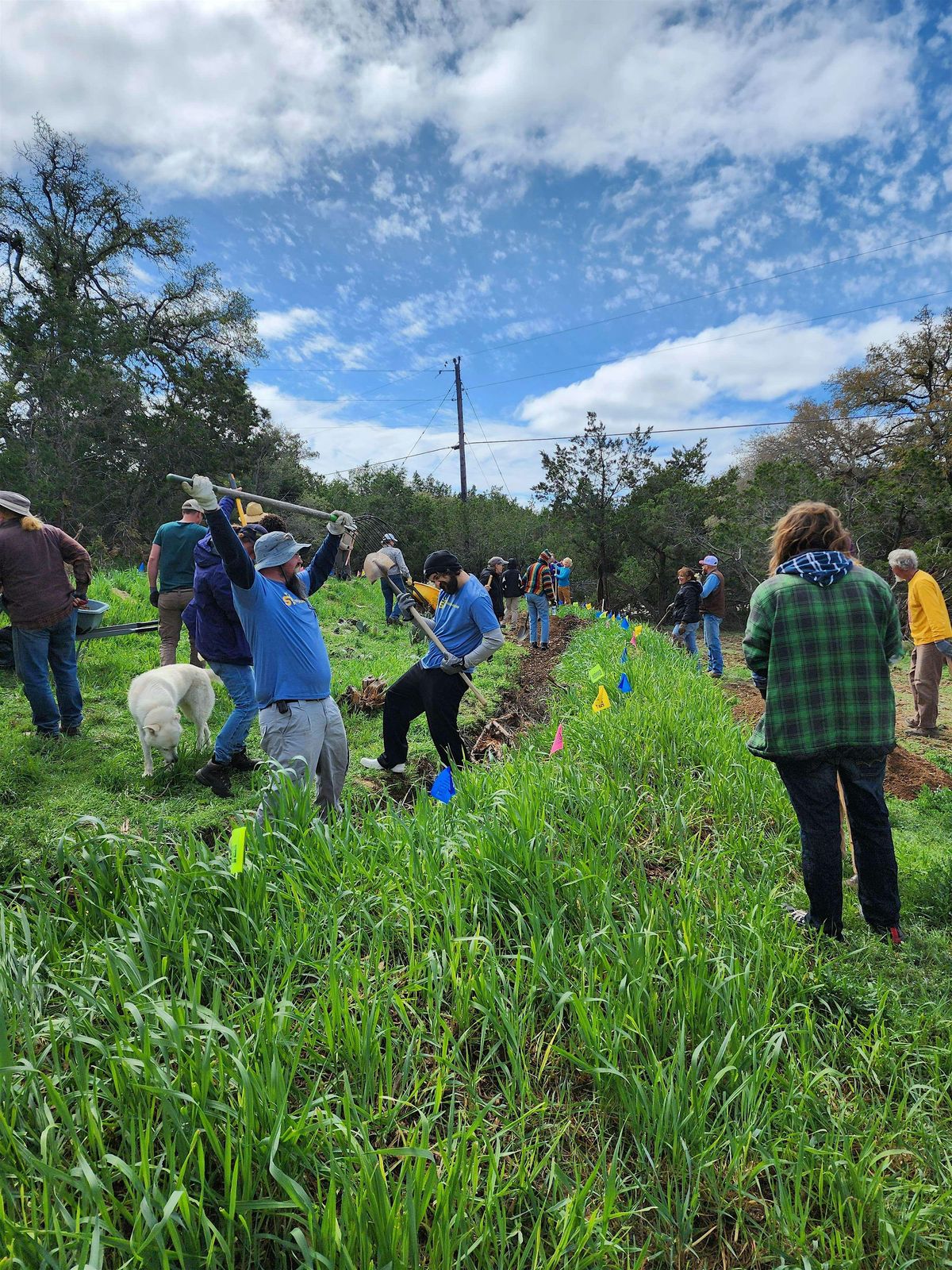 Fertile Foods Community Collaboration: 3rd Tree Permablitz