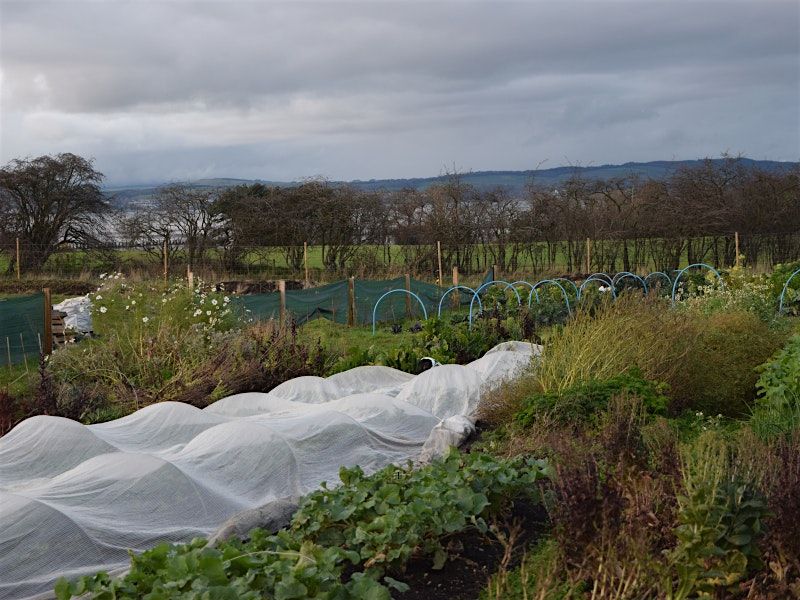 Sow: Agroforestry at Lauriston Farm