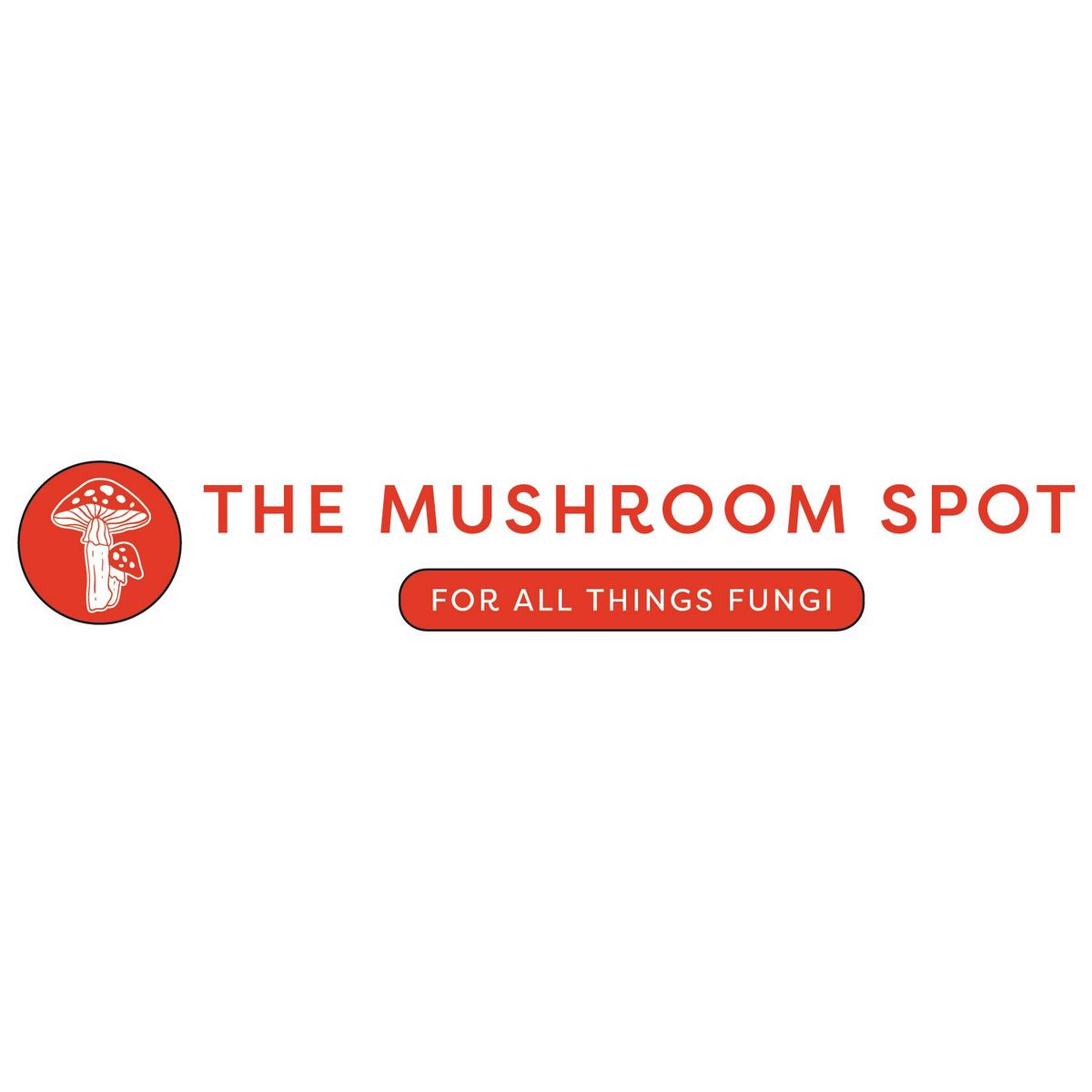 Mastering Medicinal Mushroom Tincturing with Tradd Cotter