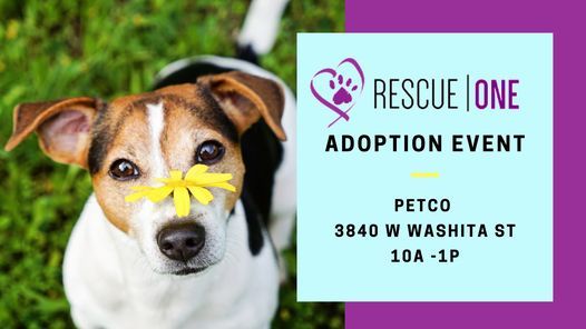 Rescue One Adoption Event