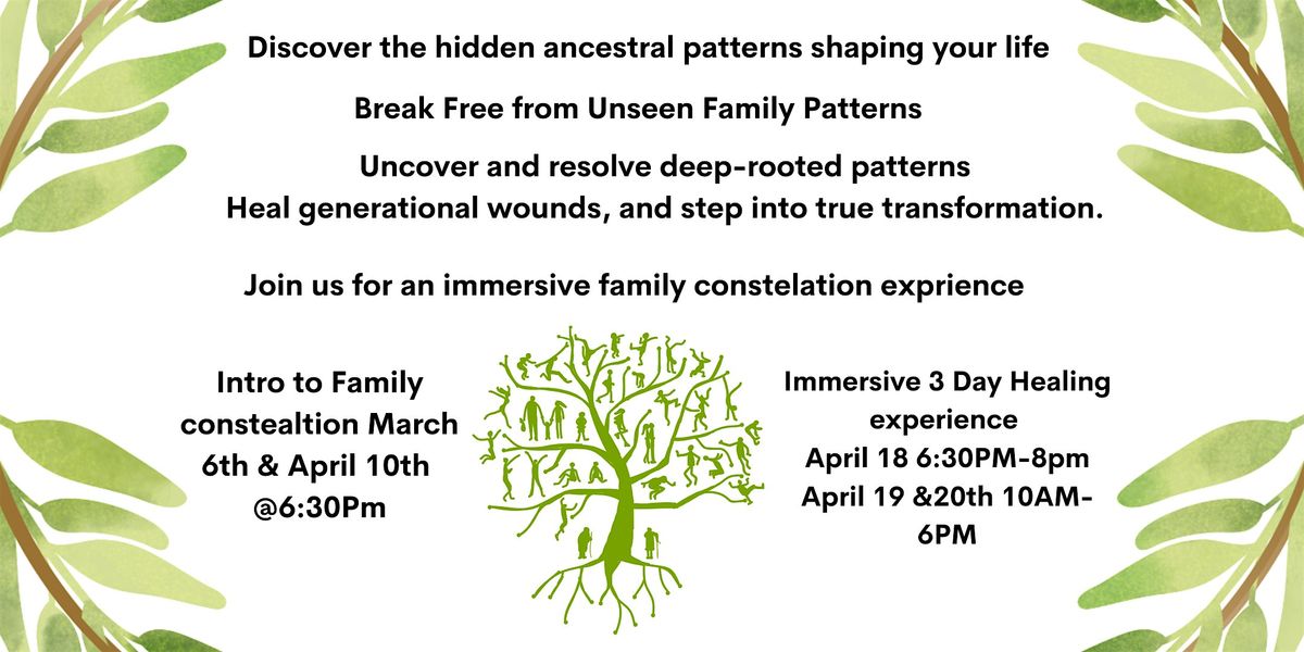 Family Constellation Healing Experience