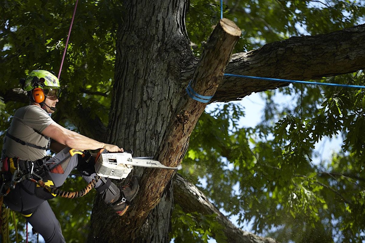 Arborist Training - Springfield, IL