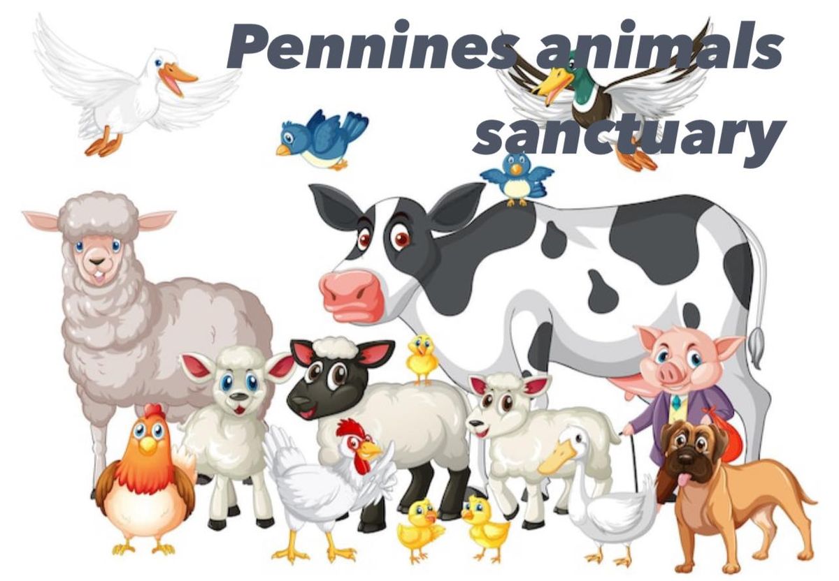 Pennines Animal Sanctuary open day 2024