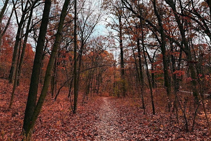 Trail Work  Thursdays