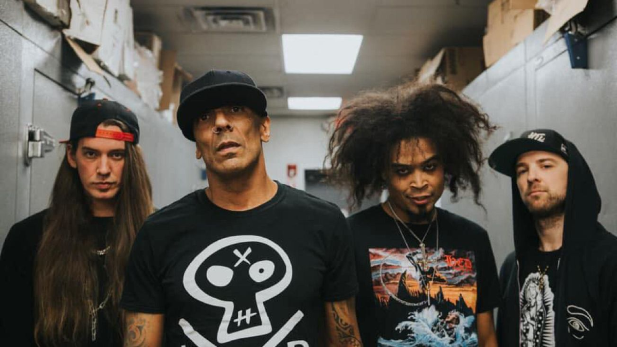 Hed PE