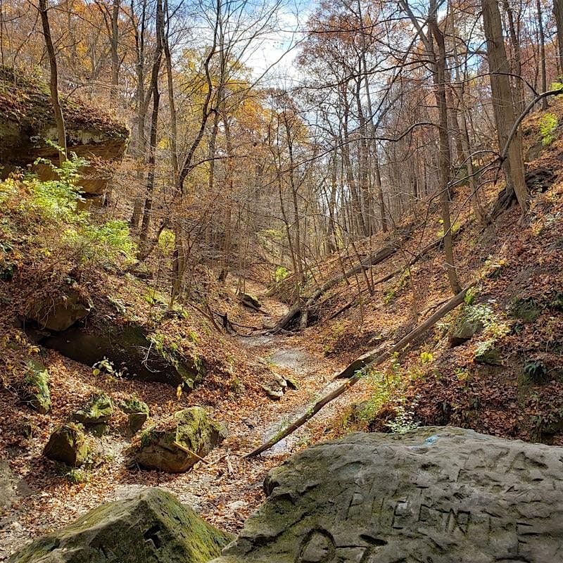 WWE Illinois- Rocky Glen Hike then Dinner\/Drinks