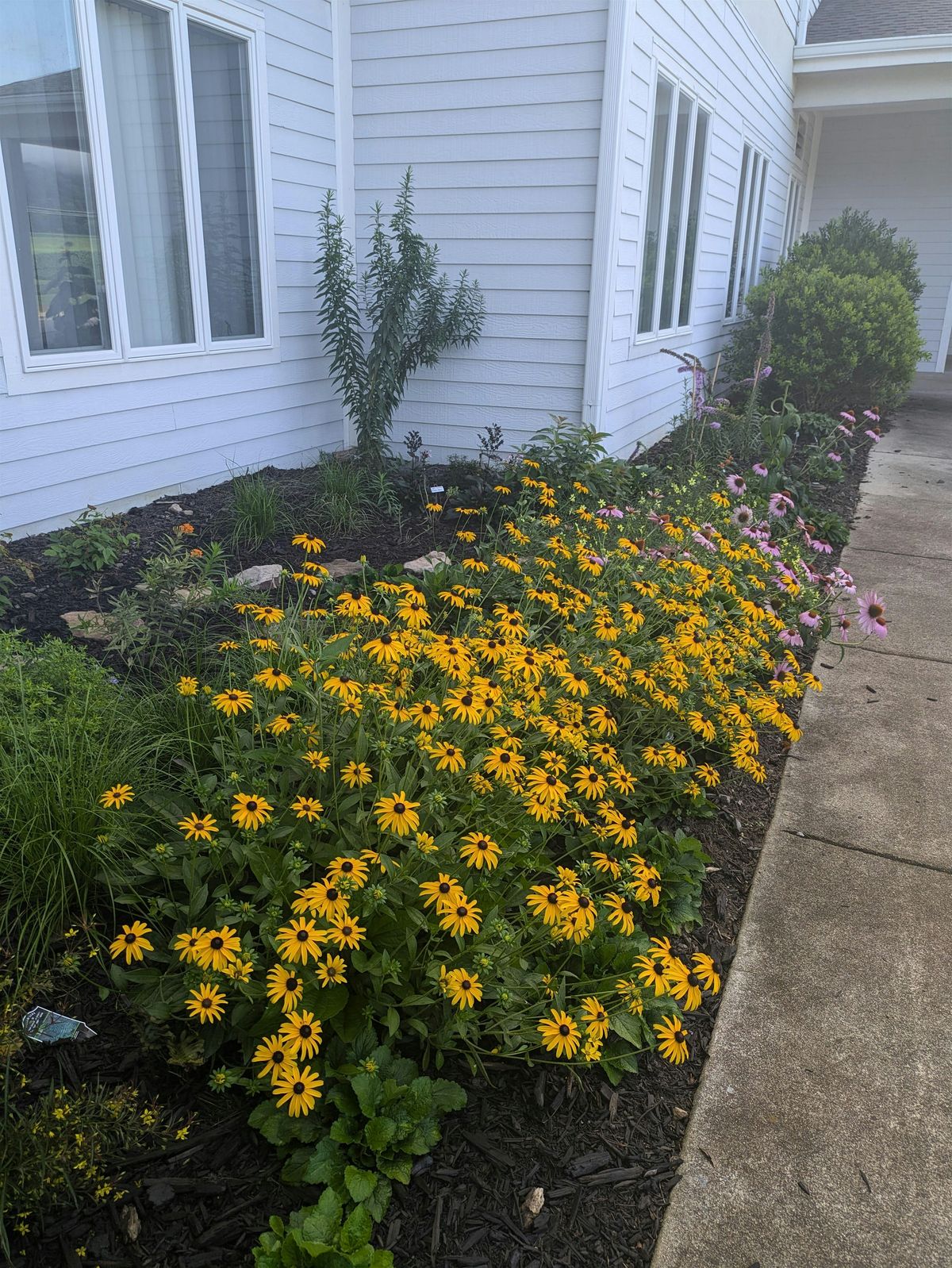 Learn to Grow: Native Plants