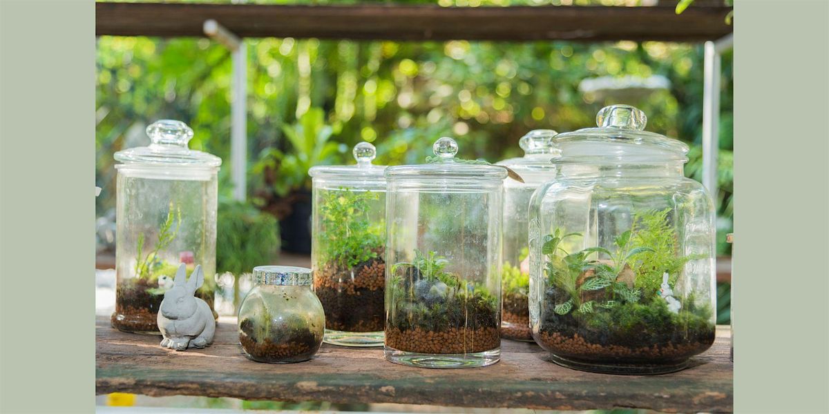 Build a Terrarium: Craft Night @ Dandy Lion Coffee Co