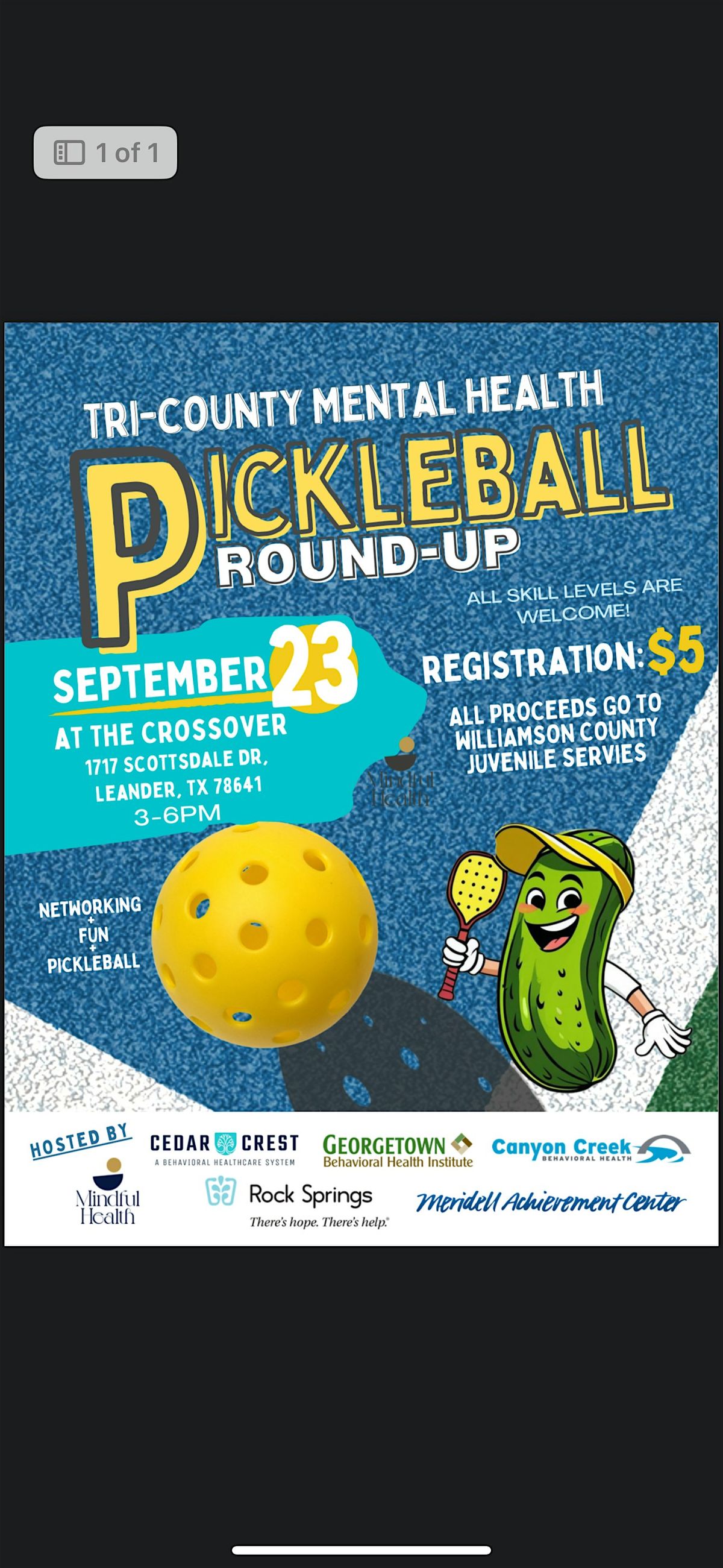 Tri- County Mental Health Pickleball Round- Up