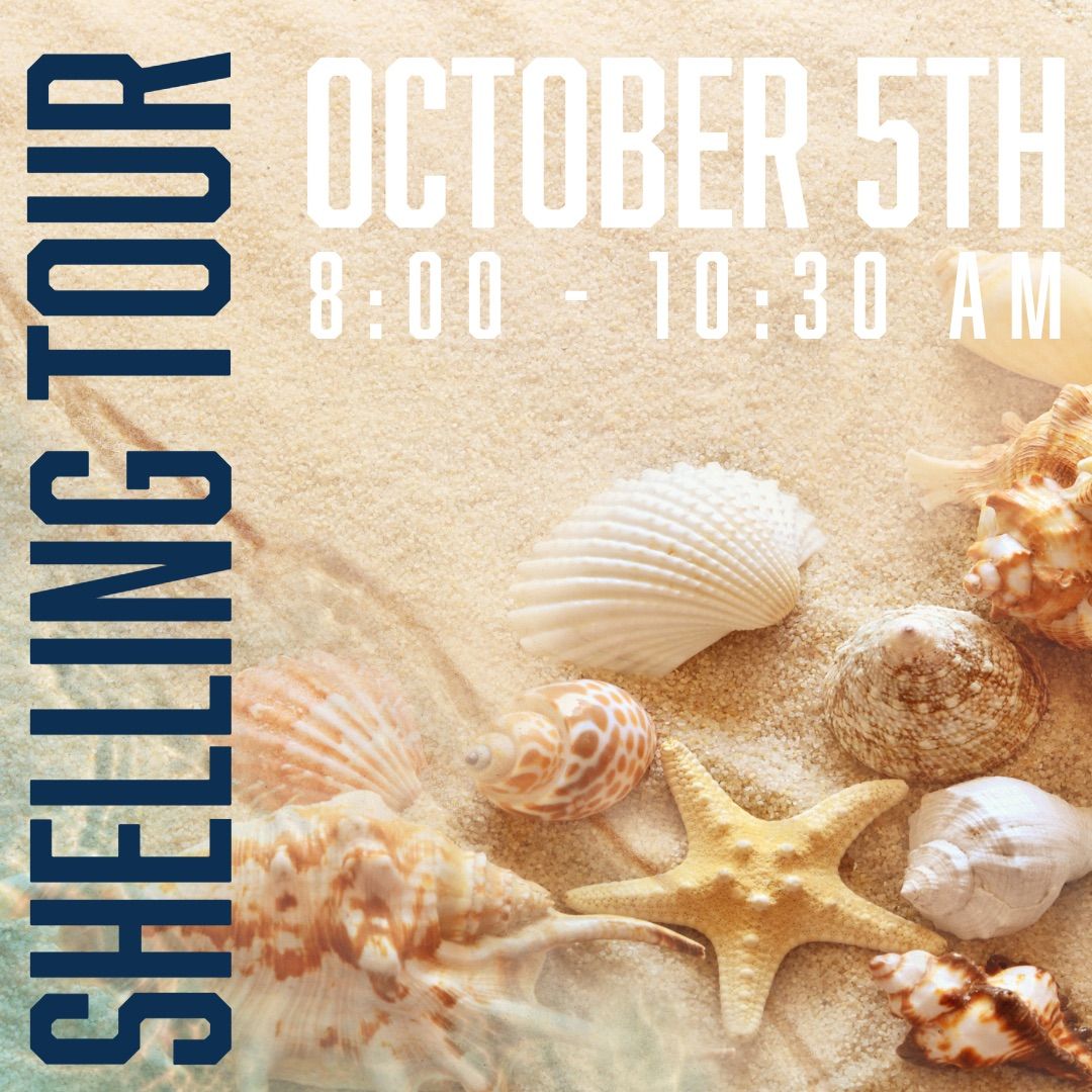 Special Shelling Tour 