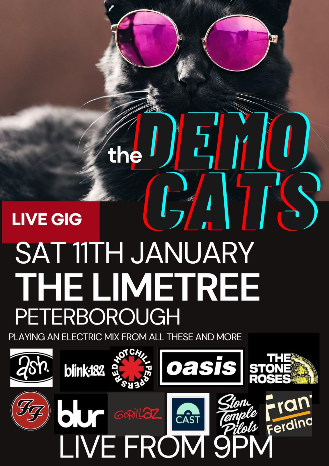 The Demo Cats @ The Limetree