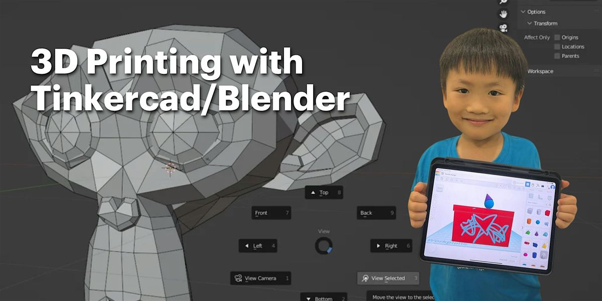Post-PSLE 3D Printing with Tinkercad\/Blender Camp for Ages 7 to 16