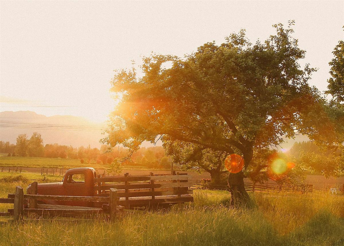 Fall Phone & Camera Photography Workshop