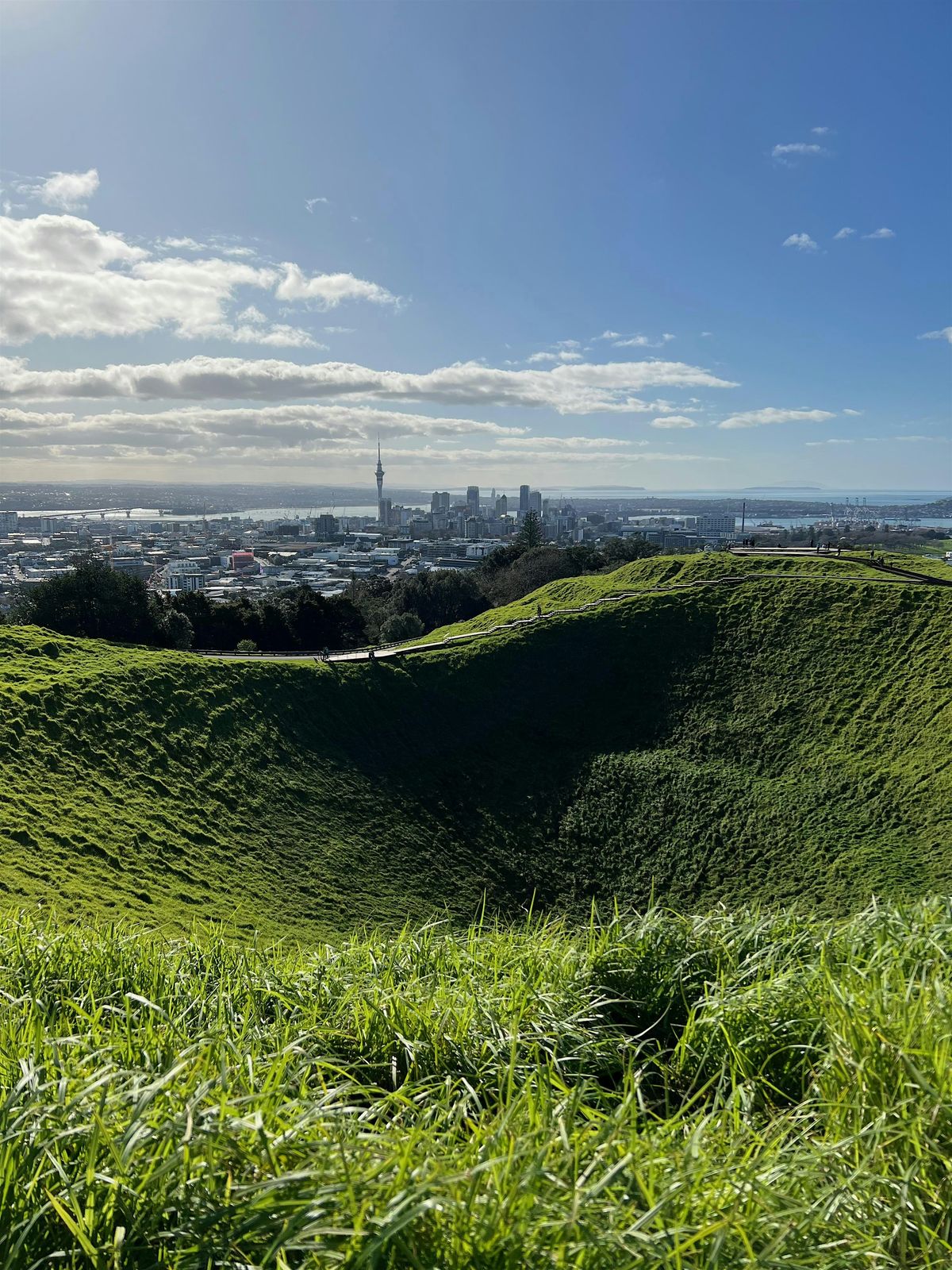 Cities as Catalysts in the Climate Emergency Symposium