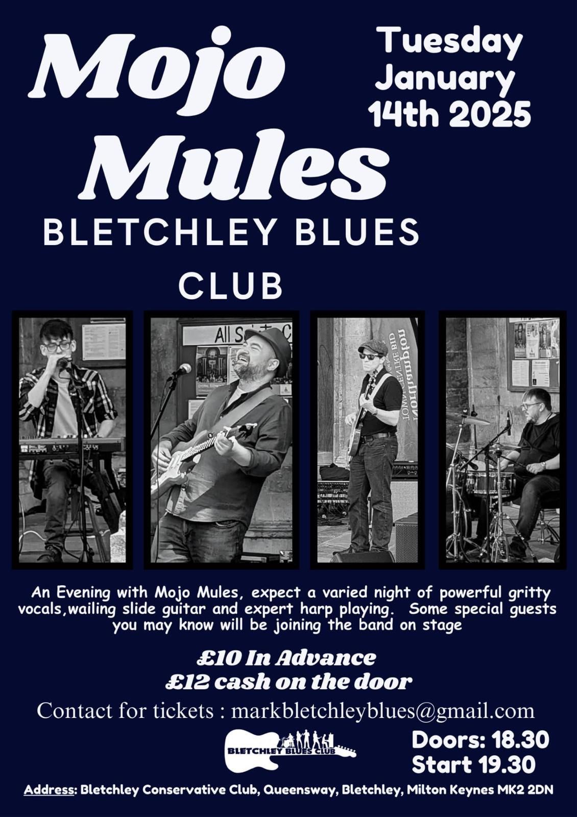 Mojo Mules - Bletchley Blues Club 