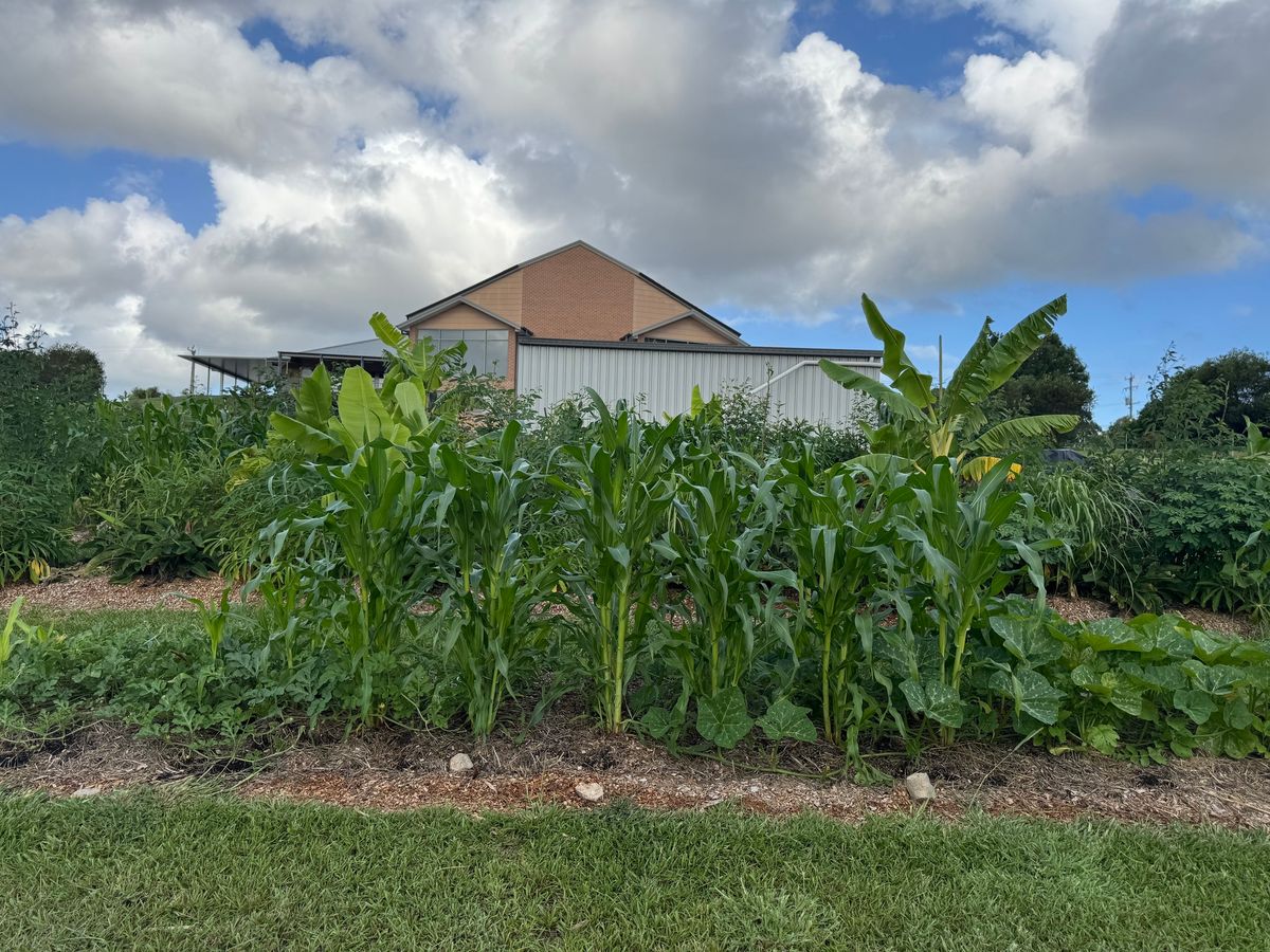 ADRA Wauchope Community Connect Garden Event