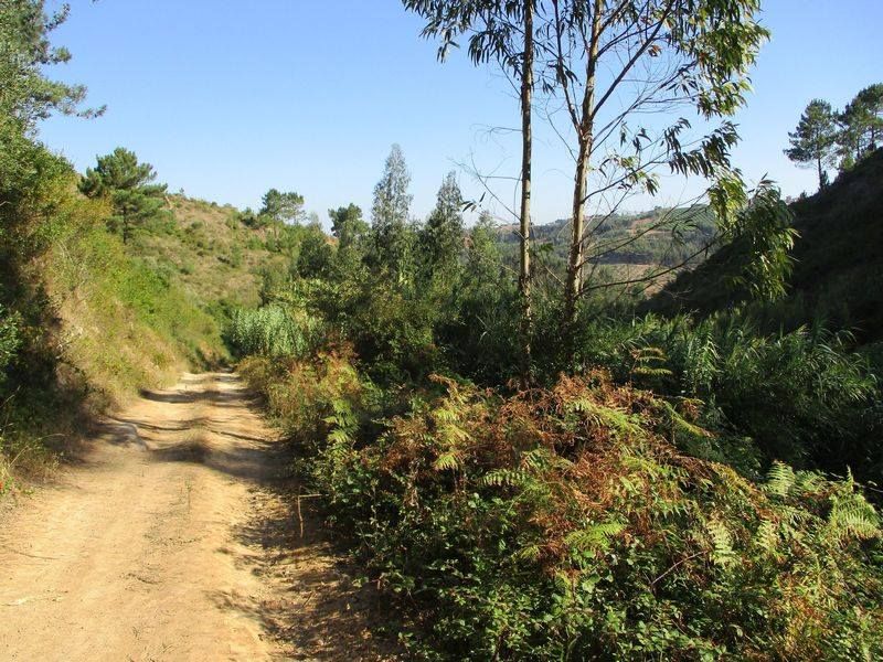 Caminhando no Sobreiro e no Vale do Rio Cuco