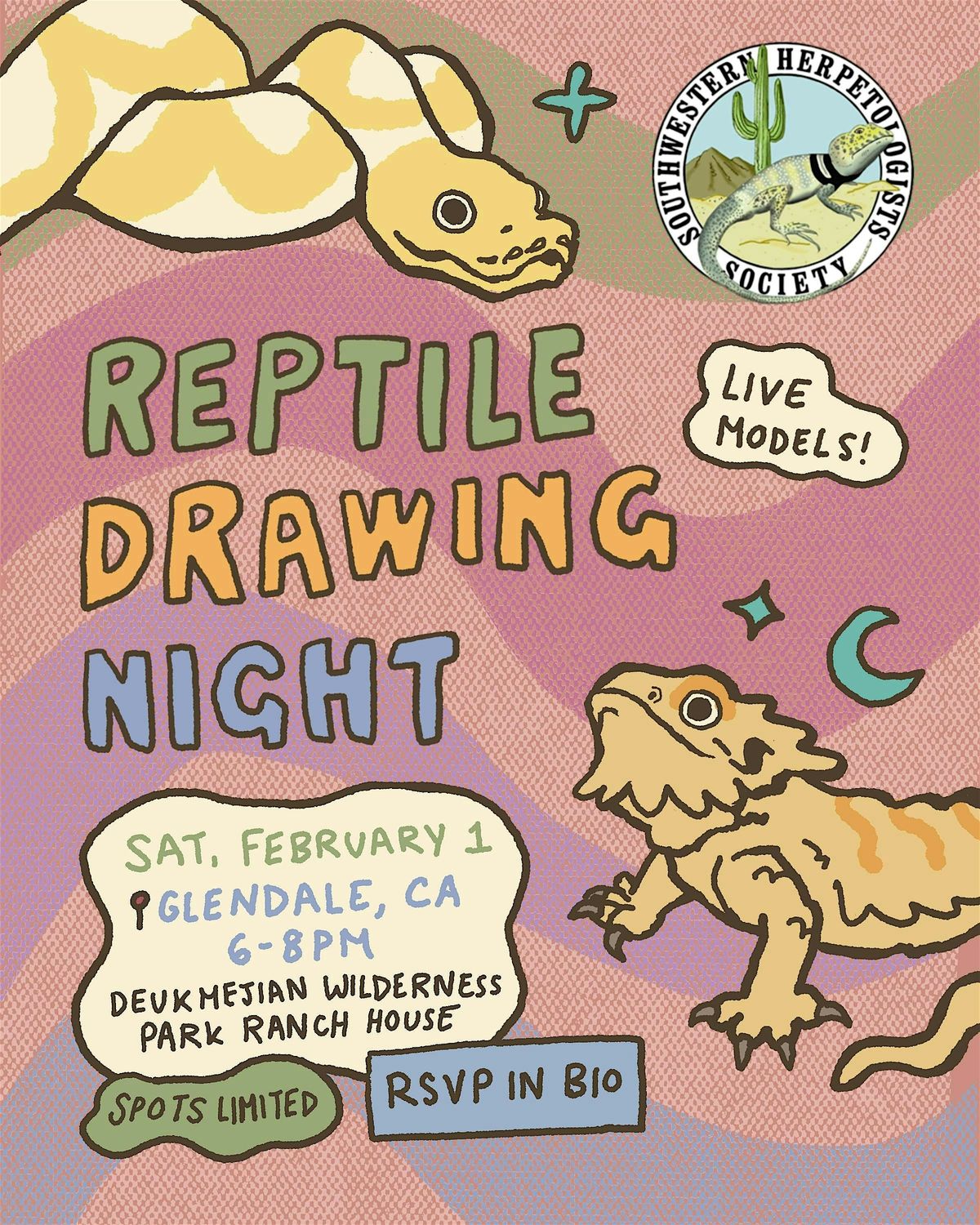 Reptile Drawing Night