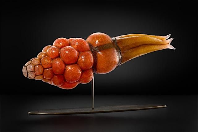 Galactic Glass Exhibition