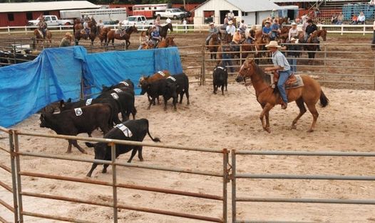 Attending Lone Star Cowboy Church Sorting Series Final