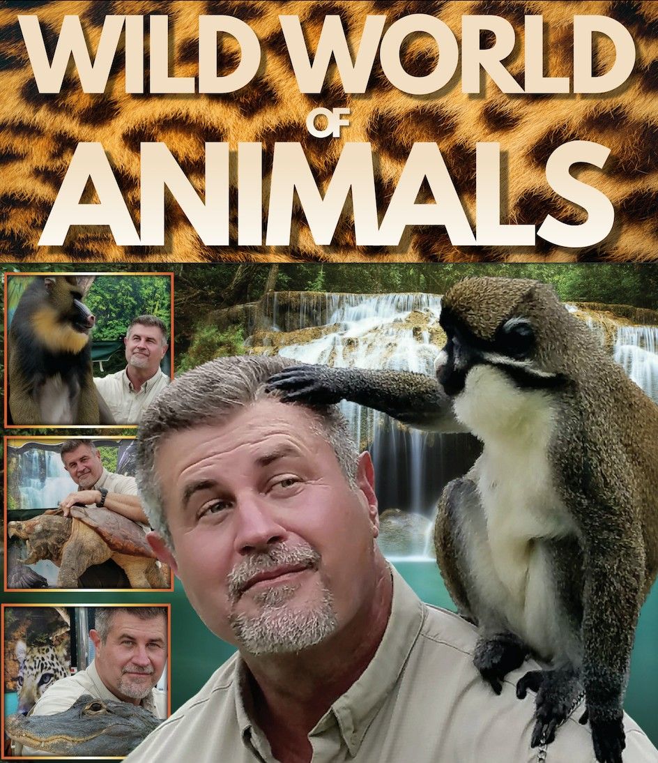 Wild World of Animals!