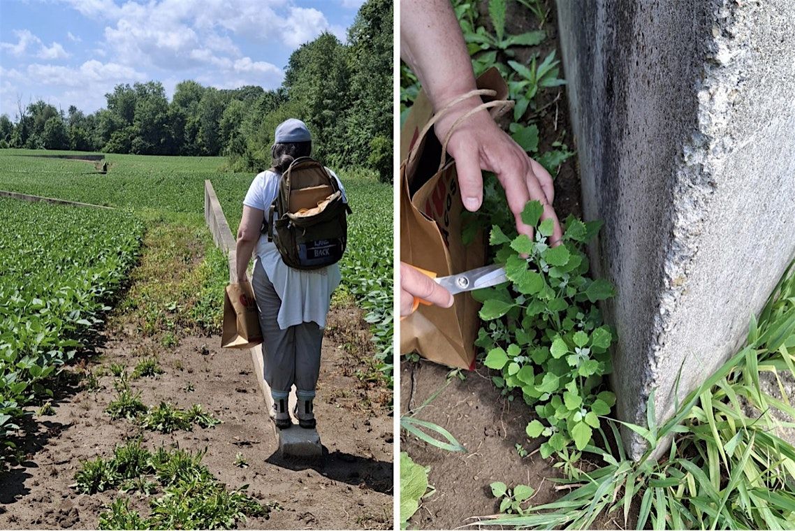 Artist Panel: The Practice of Earthwork