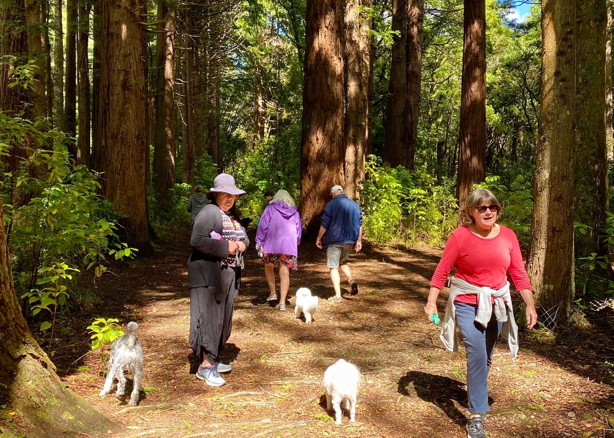 November- Wairarapa Walking Festival